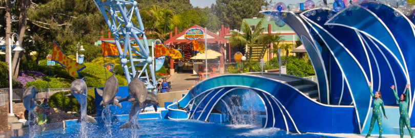 SeaWorld San Diego Planning Guides for First Time Visitors