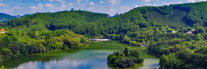 2024深圳仙湖植物园一日游攻略（花展时间+门票+最佳景点推荐+路线）
