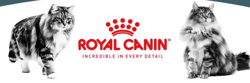 2024最全Royal Canin皇家猫粮选购攻略（种类+各型号说明及区别+成分+购买网站+$7.5返利）