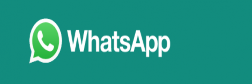 2024年最新海外WhatsApp社交平台注册及使用指南（下载+功能介绍+收费）