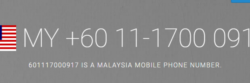 2024年9个马来西亚接码平台汇总（免费+付费），虚拟手机号码/临时在线接收短信验证码！