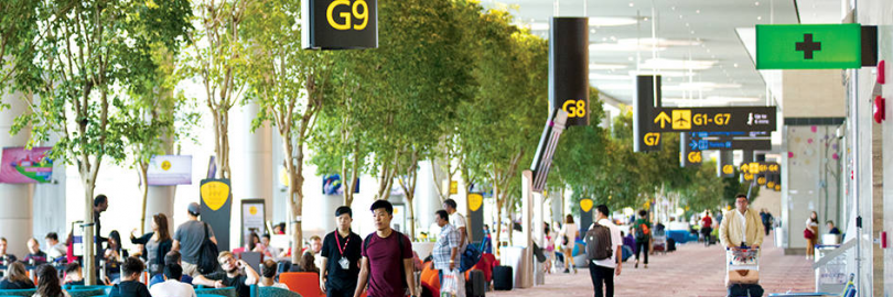 2024新加坡机场交通攻略（内部交通+票价+上车点+购票方式）- 樟宜机场到市区、马来西亚交通方式汇总！