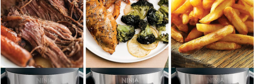 Ninja Foodi vs. Instant Pot Duo Crisp vs. Gourmia Air Fryer: Full Comparison & Verdict 2024