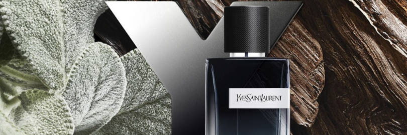 5 Affordable Colognes that Smell Like YSL Y 2024