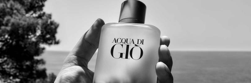 5 Affordable Perfumes that Smell Like Acqua di Gio in 2024