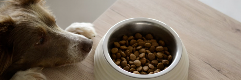 Royal Canin Ultamino vs. Hydrolyzed Protein vs. Anallergenic Dog Food: Differences and Reviews 2024