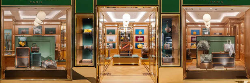 7 Goyard Bags Worth the Investment in 2025: Resale Value, Reviews, Size Comparisom