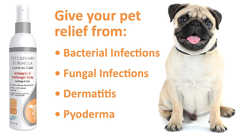 We know that your dogs and cats are more than just pets - they are part of the family - so Veterinary Formula Clinical Care designs premium medicated products that pet parents can actually afford. Your pet will feel fast acting relief from skin infections and you will notice a difference in the skin and coat – making you both happy and able to focus on more important things like walks
