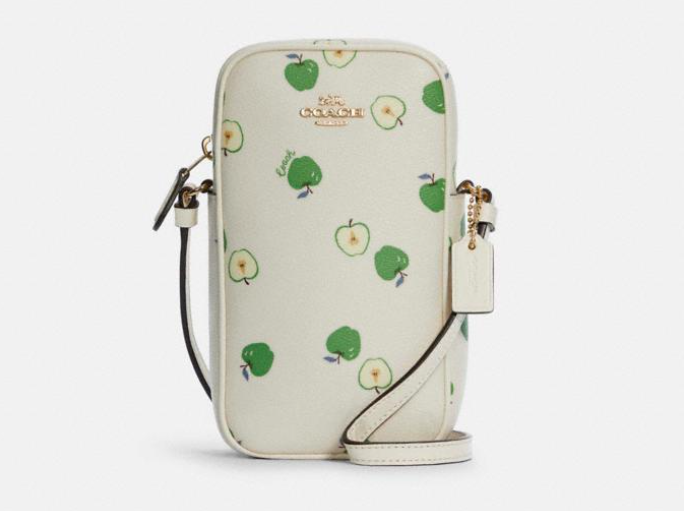 coach south outlet