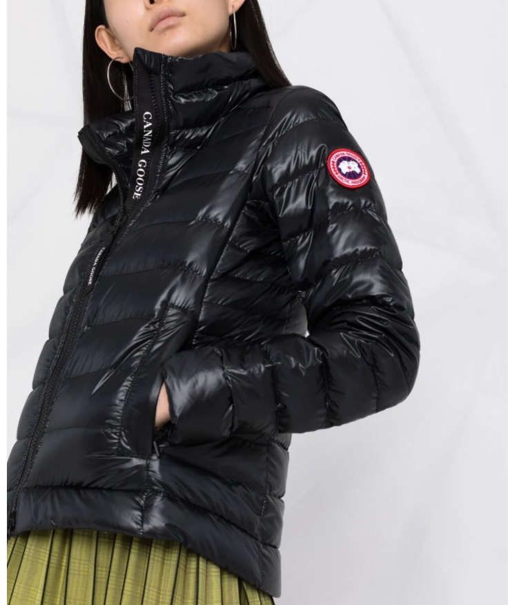 canada goose with fur