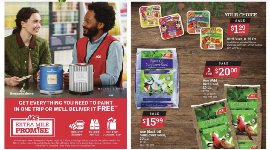 $30以下正价商品立享5折开抢：Ace Hardware 2021黑五海报出炉 买烧烤架送$164烤架套装 