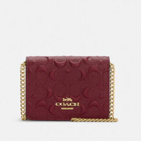 coach outlet mini wallet on a chain