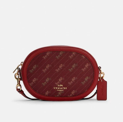 $99 coach bags