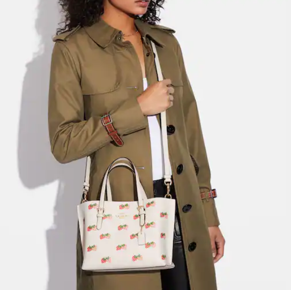 Coach Outlet官網 Coach Mollie 25 小草莓印花托特包37折熱賣 $159.20 (原價 $428) + 免運費Coach Outlet官網 Coach Mollie 25 小草莓印花托特包37折熱賣