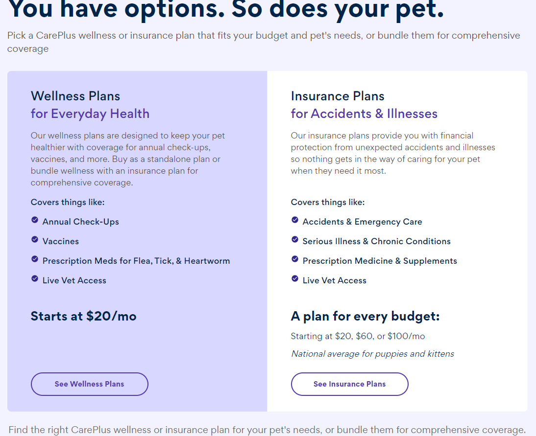 meet-careplus-a-pet-first-approach-to-wellness-insurance-chewy