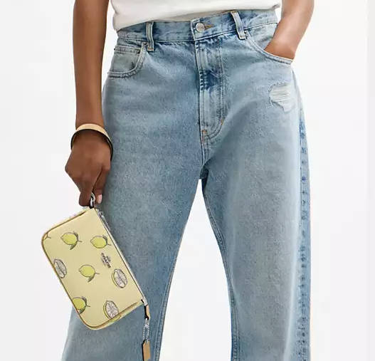 $56.40 (Value $188) 70% Off Coach Nolita 19 With Lemon Print @ Coach Outlet